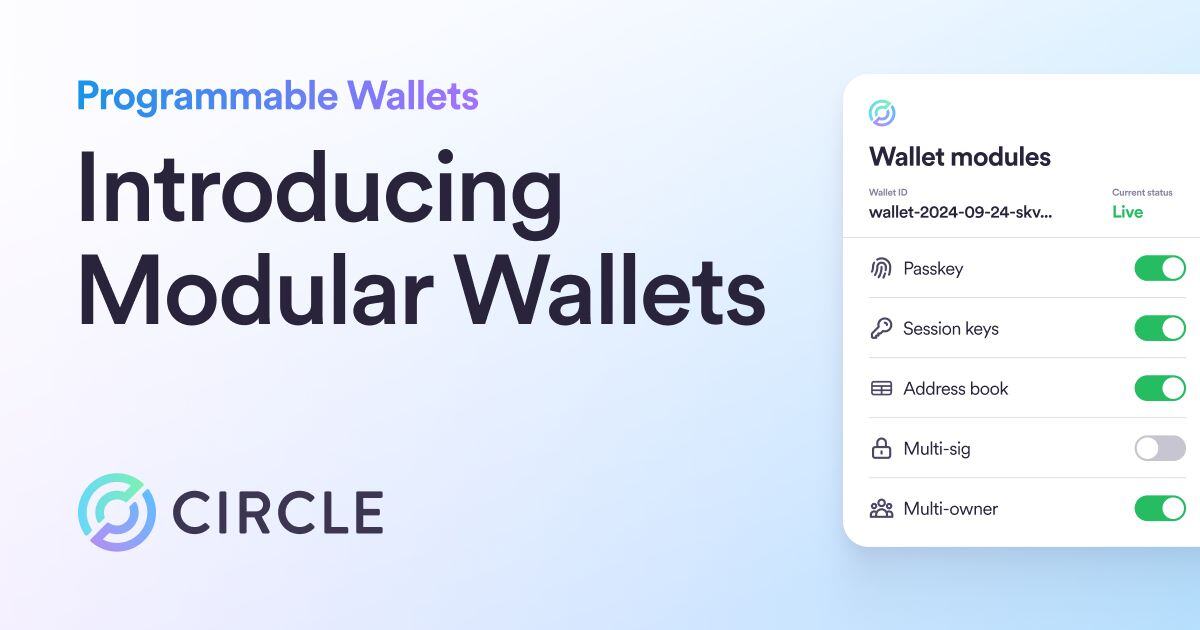 Modular Wallets: A latest enhancement to Programmable Wallets